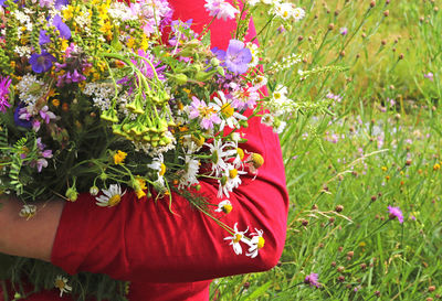 Close-up of red flowering plants on field