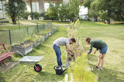 Full length side view of mid adult couple working in community garden