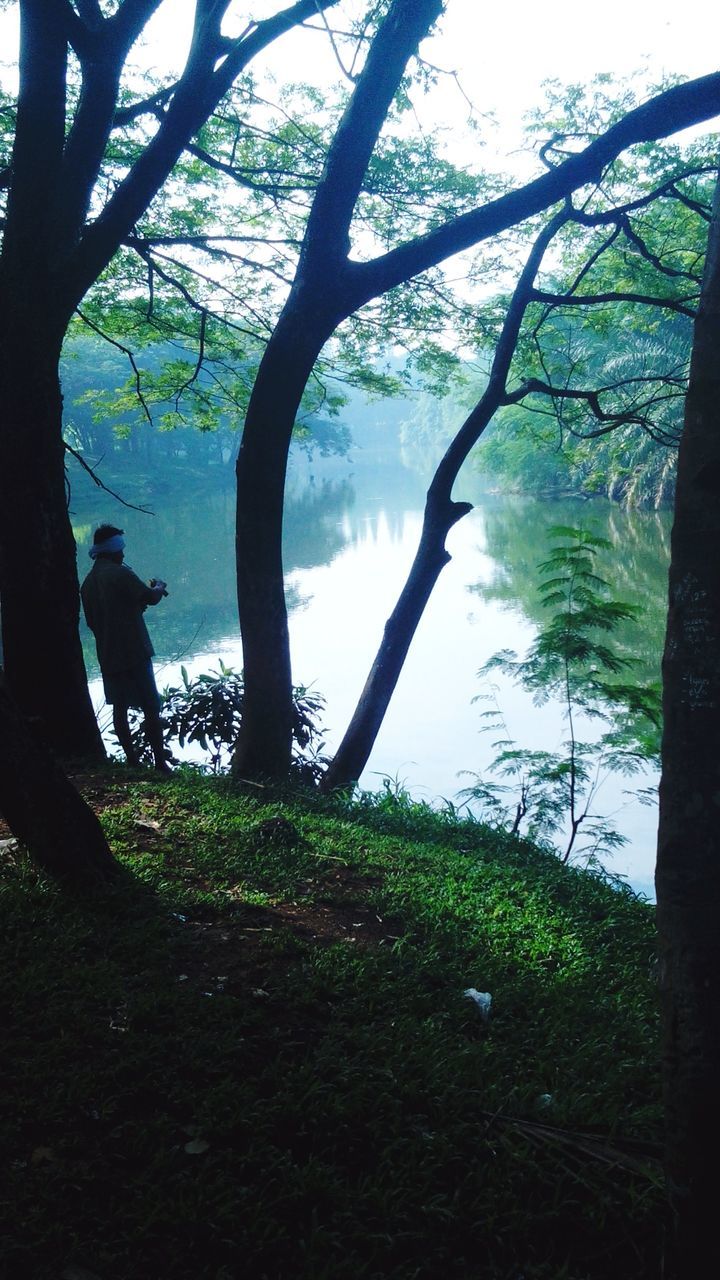 tree, animal themes, water, mammal, one animal, lake, tree trunk, domestic animals, nature, grass, pets, tranquility, dog, branch, growth, wildlife, tranquil scene, animals in the wild, one person, standing