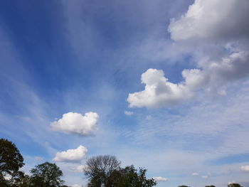 Low angle view of trees against blue sky