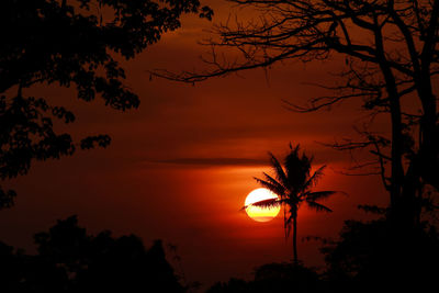 Silhouette trees against romantic sky at sunset