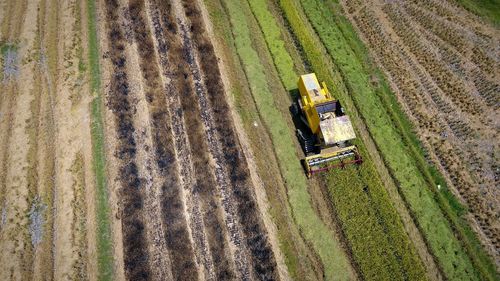 High angle view of tractor on field