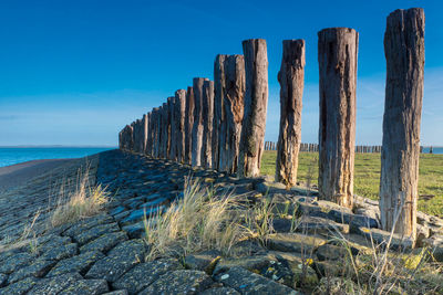 Wooden posts on beach against blue sky