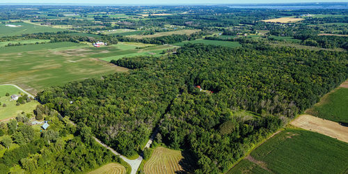 A hot summer day with a clear sky showing rural wisconsin farm fields