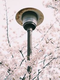 Low angle view of street light against sky