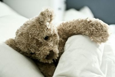 Teddy bear on bed at home