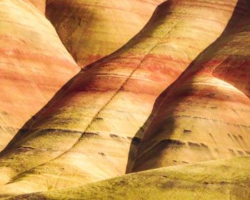 Close-up of sand dunes in desert