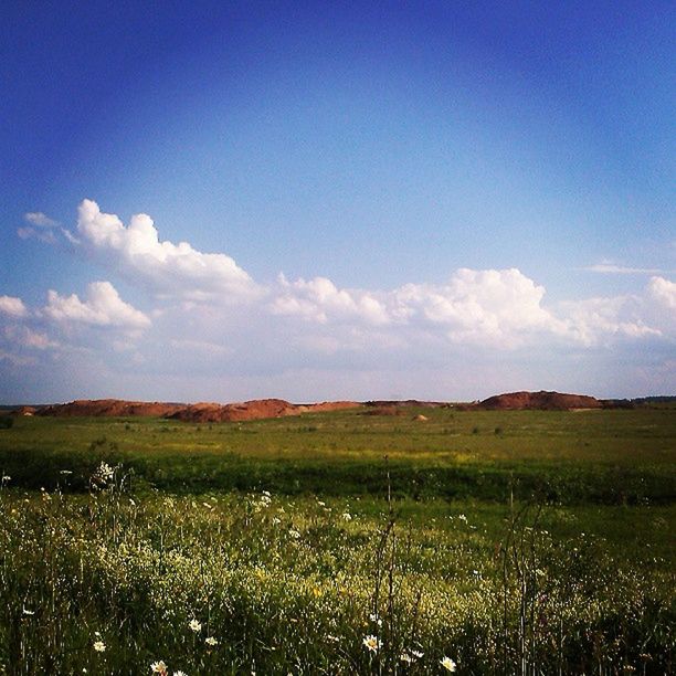 field, landscape, sky, tranquil scene, grass, tranquility, beauty in nature, scenics, nature, grassy, growth, blue, rural scene, cloud - sky, cloud, green color, plant, meadow, horizon over land, non-urban scene