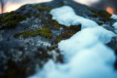 Close-up of snow on rock