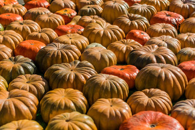 Full frame shot of pumpkins in market during autumn