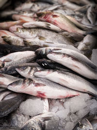 View of fish for sale at market stall