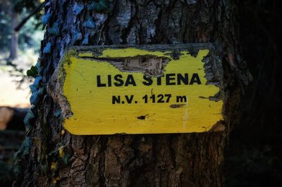 Close-up of yellow sign on tree trunk