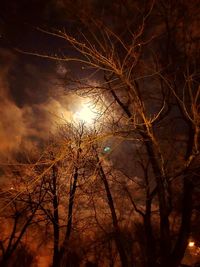 Low angle view of bare tree against sky during sunset