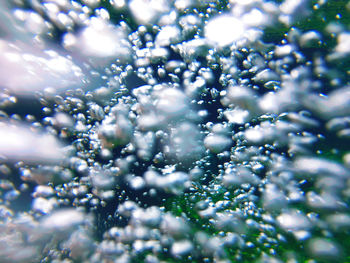 Close-up of bubbles in water