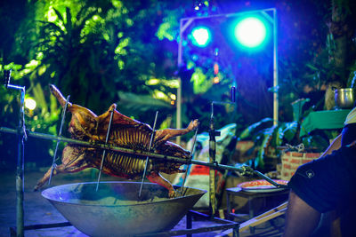 Close-up of illuminated fish in basket at night