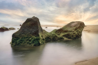 Long exposure shot of sea rocks covered with moss at sunset
