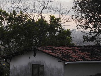 House and trees against sky