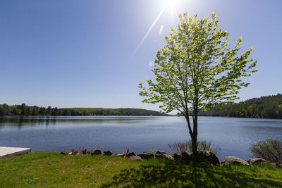 Scenic view of lake against clear sky