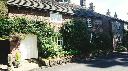 Exterior of plants growing in front of house on sunny day