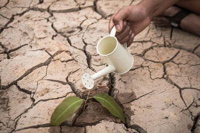 Low section of man watering plant on barren field