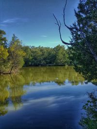 Reflection of trees in calm lake