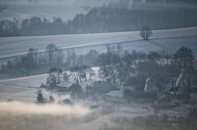 Trees on field during winter