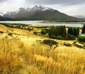 Scenic view of landscape and mountains against sky