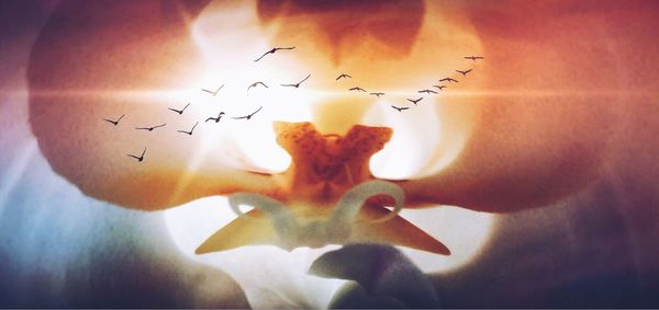 Close-up of built structure