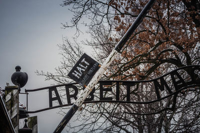 Low angle view of sign on bare tree against sky