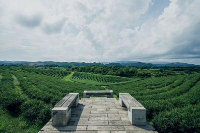 Scenic view of agricultural landscape against sky