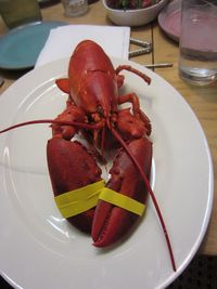 Close-up of food on plate