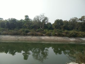 Scenic view of lake in forest against clear sky