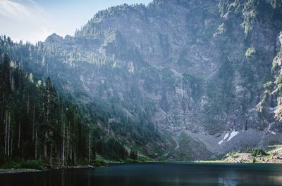 Scenic view of lake in forest