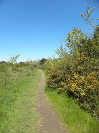 Scenic view of landscape against clear sky