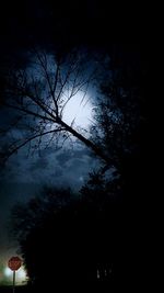 Low angle view of bare trees against sky at night