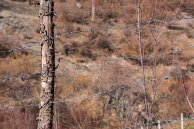 Close-up of barbed wire fence on field