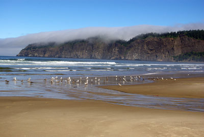 Scenic view of beach against sky