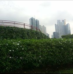 View of skyscrapers against cloudy sky