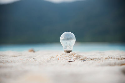 Close-up of light bulb in sand at beach