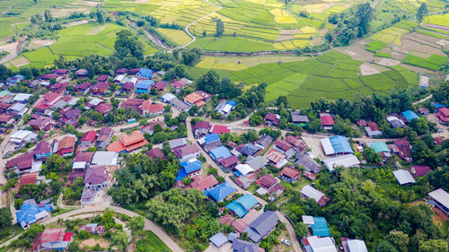 High angle view of trees and houses in farm