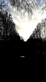 Silhouette trees against sky during sunset