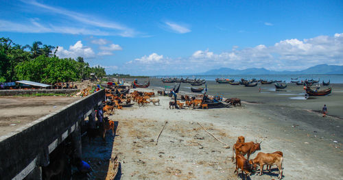 Panoramic view of people on beach against sky