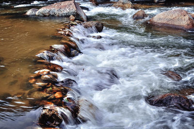 High angle view of water flowing through rocks