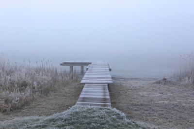 Jetty on lakeshore at forest during foggy weather