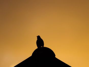 Silhouette bird perching on top of roof against clear sky during sunset