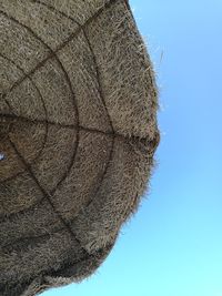 Close-up of dry plant against clear blue sky