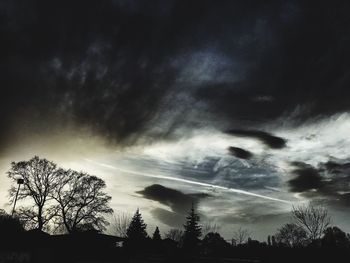 Low angle view of silhouette trees against sky