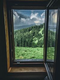 Scenic view of trees seen through glass window