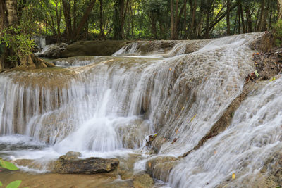 Scenic view of waterfall in forest