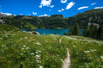 Scenic view of lake against clear sky